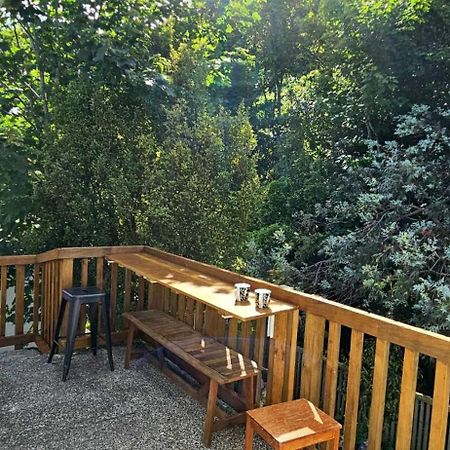 Bridge & Birds Bed & Breakfast Wellington Luaran gambar